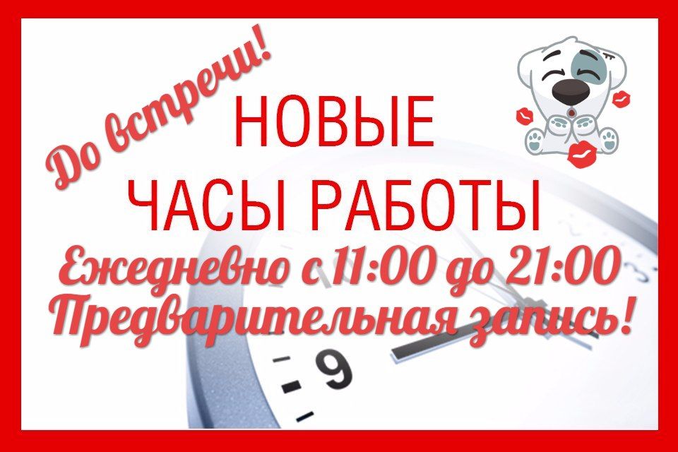 Новый график. Работаем по предварительной записи. График работы по предварительной записи. Принимаю по предварительной записи. Предварительная запись в салон.