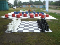 Шахматы КШ-25 с виниловым полем