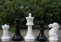 Шахматы в лагерь КШ-16
