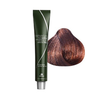 Крем-краска безаммиачная Ammonia Free Hair Color (F41V10260, 6/84, шоколадный орех, 100 мл) Farmagan (Италия)