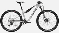 Горный велосипед Canyon Lux Trail CF 7, серый