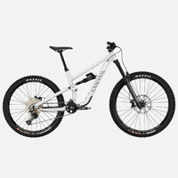 Горный велосипед Canyon Mountain Enduro Torque Torque 5 (Mullet), светло-серый