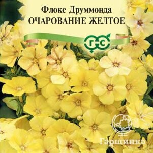 Семена Флокс друммонда Очарование желтое, ц/п, 0,05 г