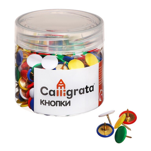 Кнопки канцелярские 12 мм, 300 штук, цветные, в пластиковой тубе Calligrata