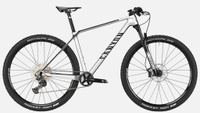 Горный велосипед Canyon Exceed CF 5, серый