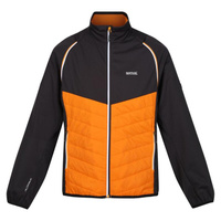Steren Hybrid мужская походная куртка REGATTA, цвет orange