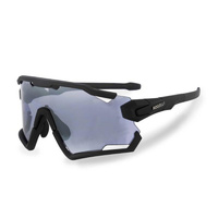 Велосипедные очки - спортивные очки унисекс - Switch ROGELLI, цвет schwarz