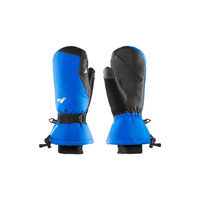 Перчатки POLAR DOWN Juniors синие дышащие водонепроницаемые ветрозащитные ZANIER, цвет blau