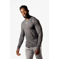Рубашка с длинным рукавом Core Scoop — для фитнеса — для мужчин — серая AESTHETIC WOLF, цвет gris