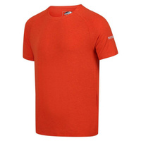 Мужская прогулочная футболка Ambulo с короткими рукавами REGATTA, цвет orange
