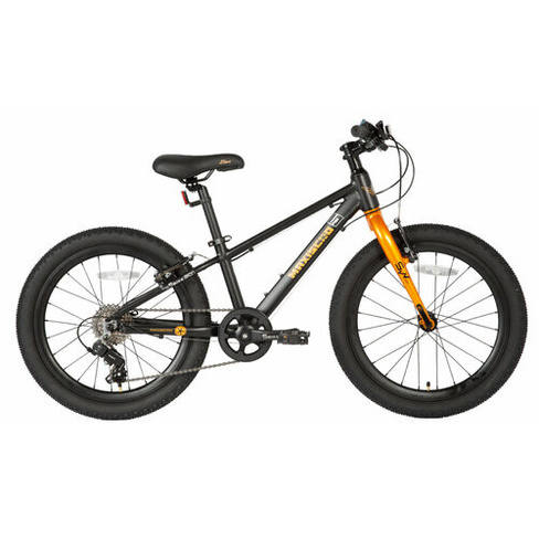 Детский велосипед Maxiscoo 5Bike 20' Boy (2024) 20 Черный (120-140 см)