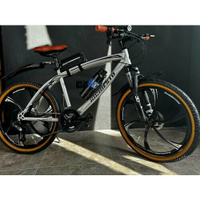 Велосипед Richiesto 24 колёса литые Алюминиевые диски Горный Взрослый Подростковый Спортивный, серебристо-коричневый RIC