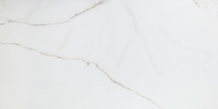 Плитка керамогранитная AZUVI LANCE 60x120 polish Navarti (NA01999913P)